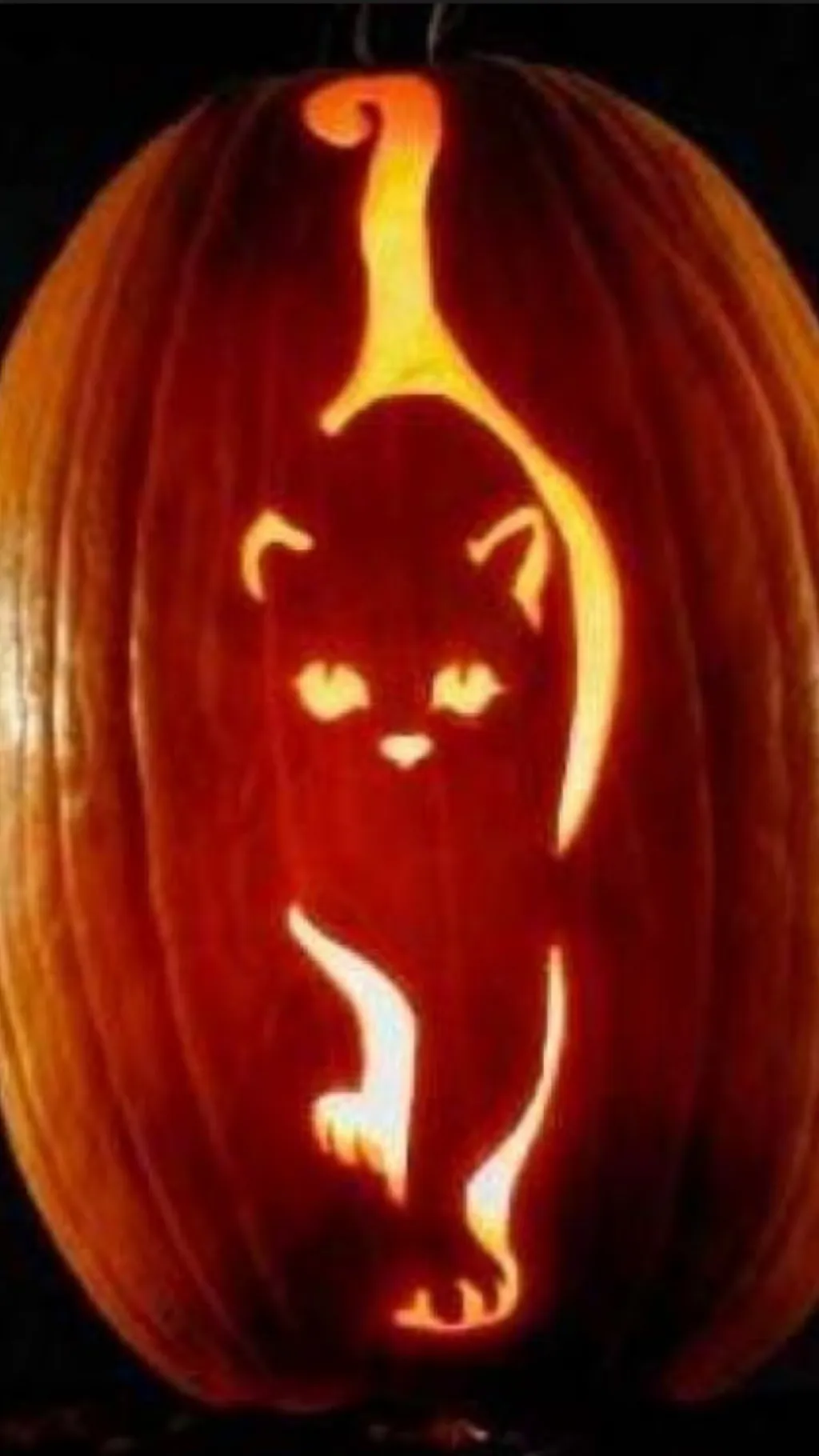 ai character: 🎃pumpkin🎃 background