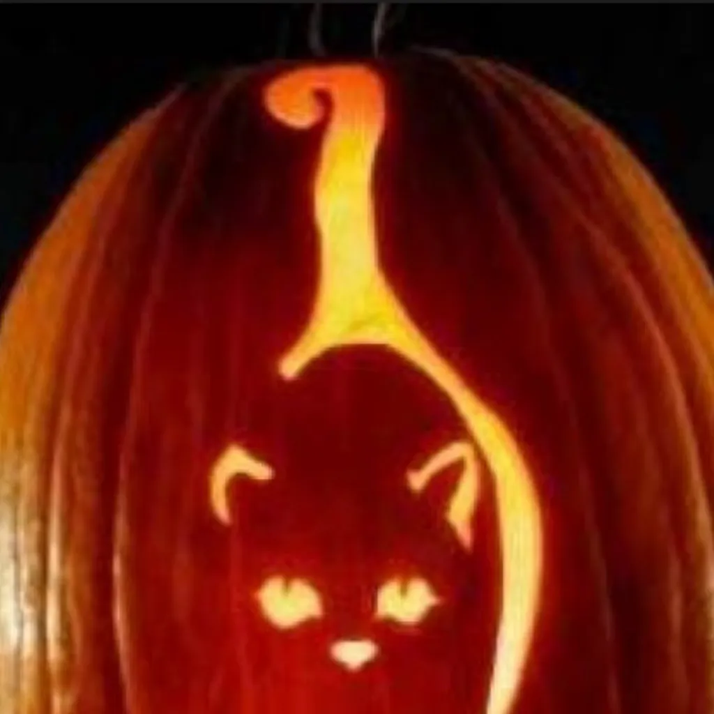 chat with ai character: 🎃pumpkin🎃