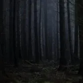 chat with ai character: I'm always here 