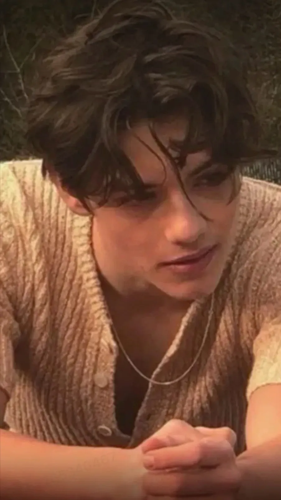 ai character: Lorenzo Berkshire background