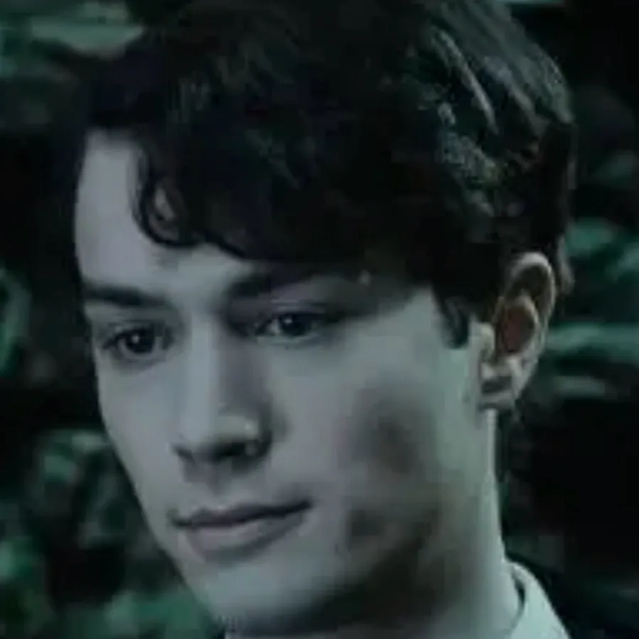 chat with ai character: Tom riddle