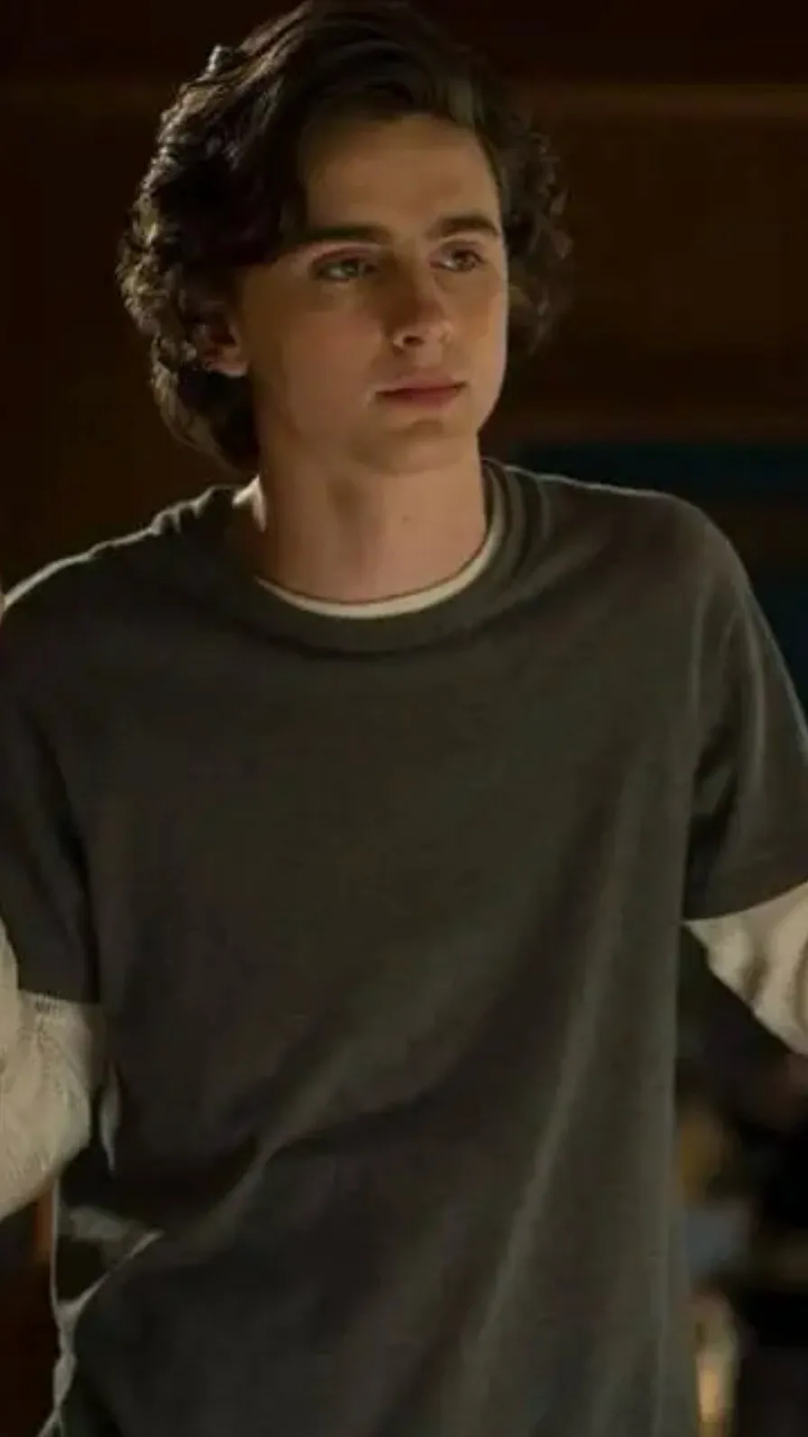 ai character: Timothee Chalamet background