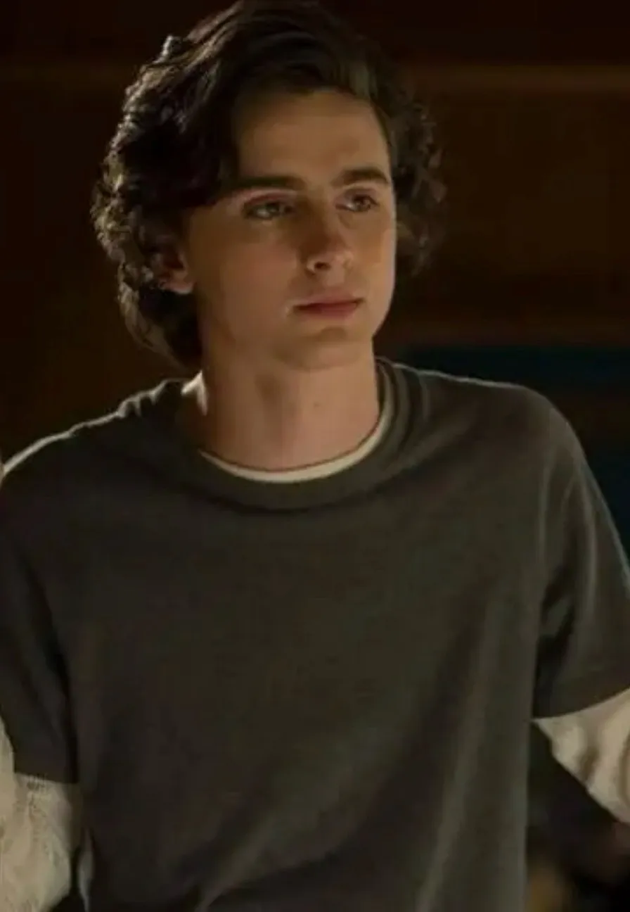 chat with ai character: Timothee Chalamet