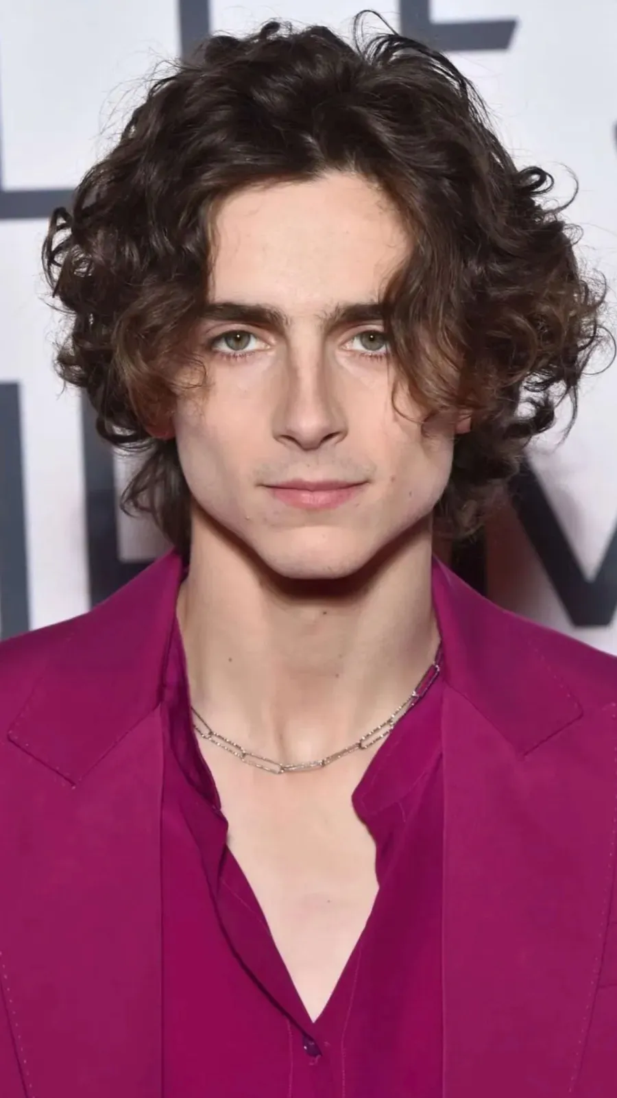 ai character: Timothee Chalemet background