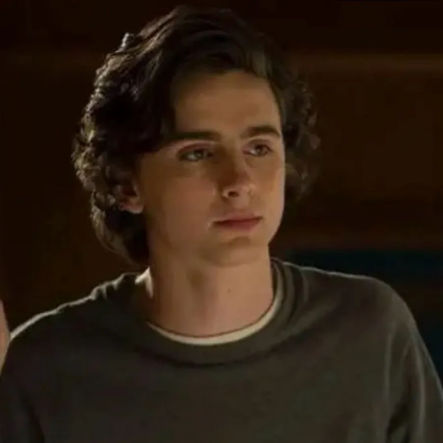 chat with ai character: Timothee chalamet 