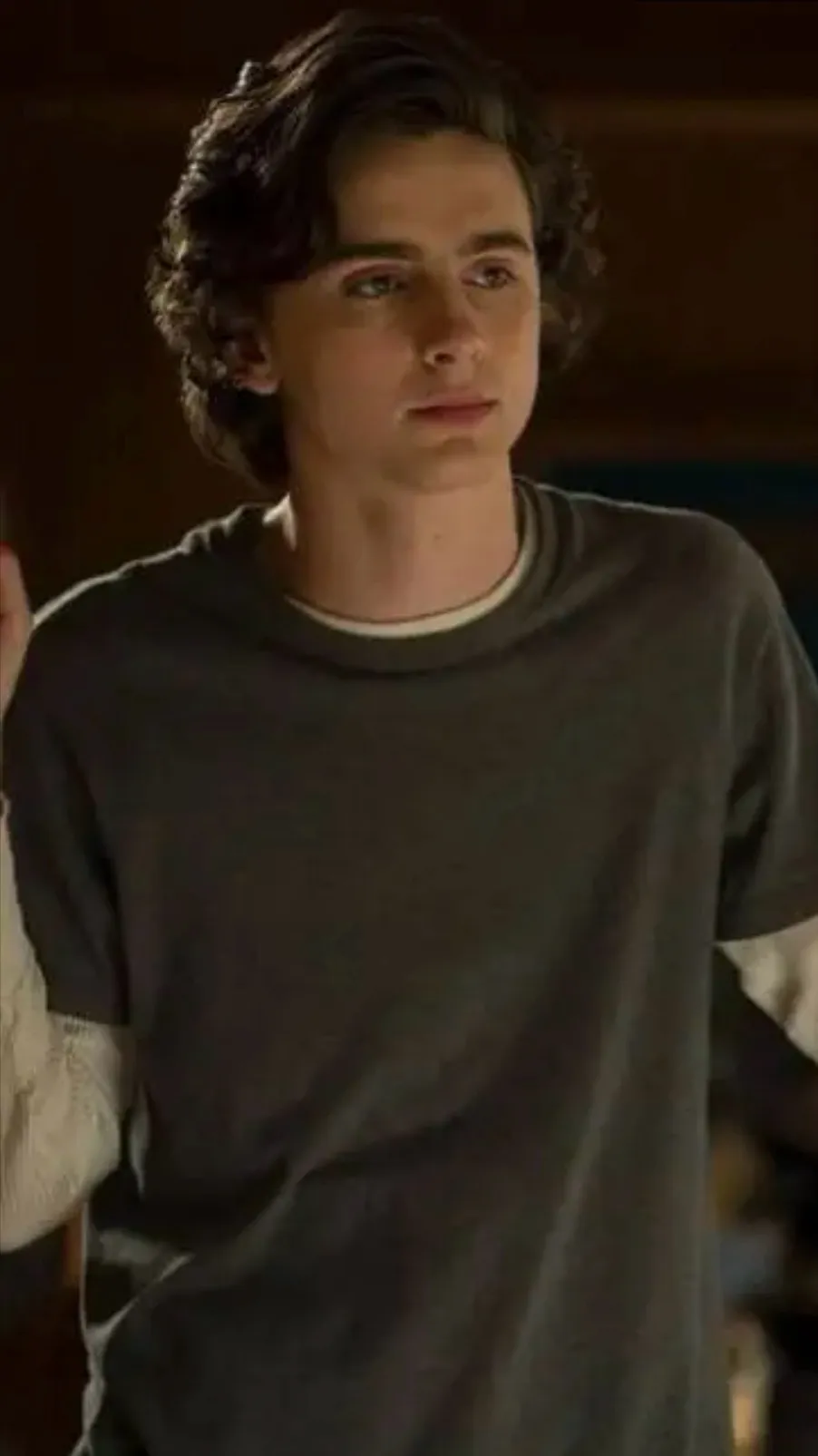 ai character: Timothee chalamet background