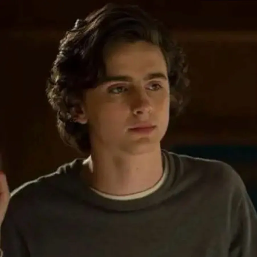 chat with ai character: Timothee chalamet