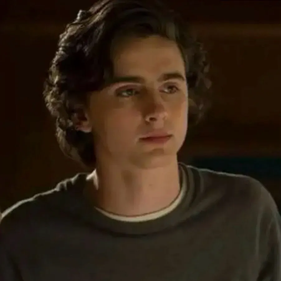 chat with ai character: Timothée Chalamet