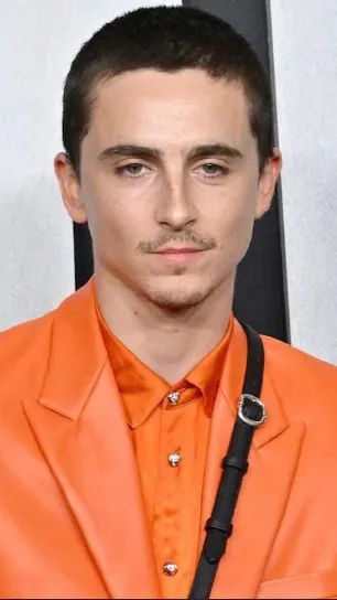 ai character: Timothée chalamet background