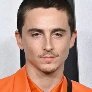 chat with ai character: Timothée chalamet