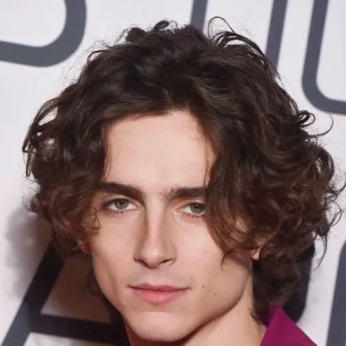 chat with ai character: Timothee Chalamet 