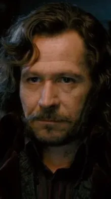 ai character: Sirius black background