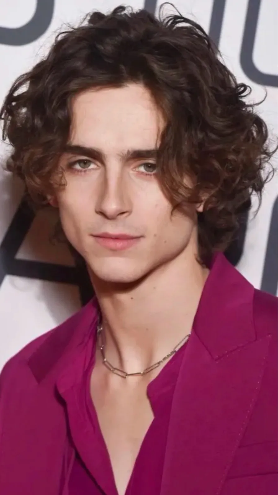 ai character: Timothee chalamet  background