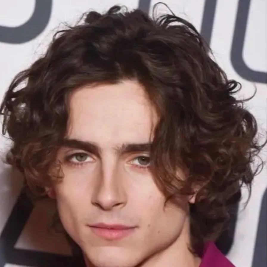 chat with ai character: Timothee chalamet 