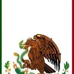 chat with ai character: Mexican party