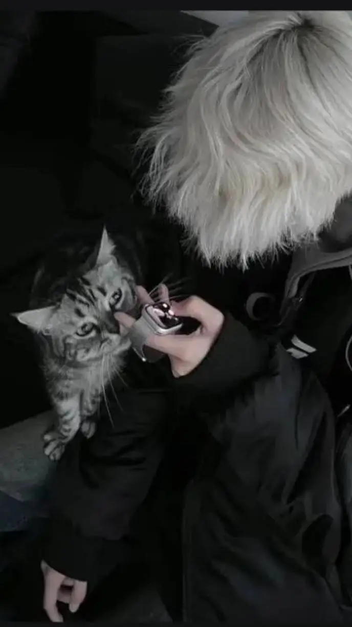 ai character: даня background