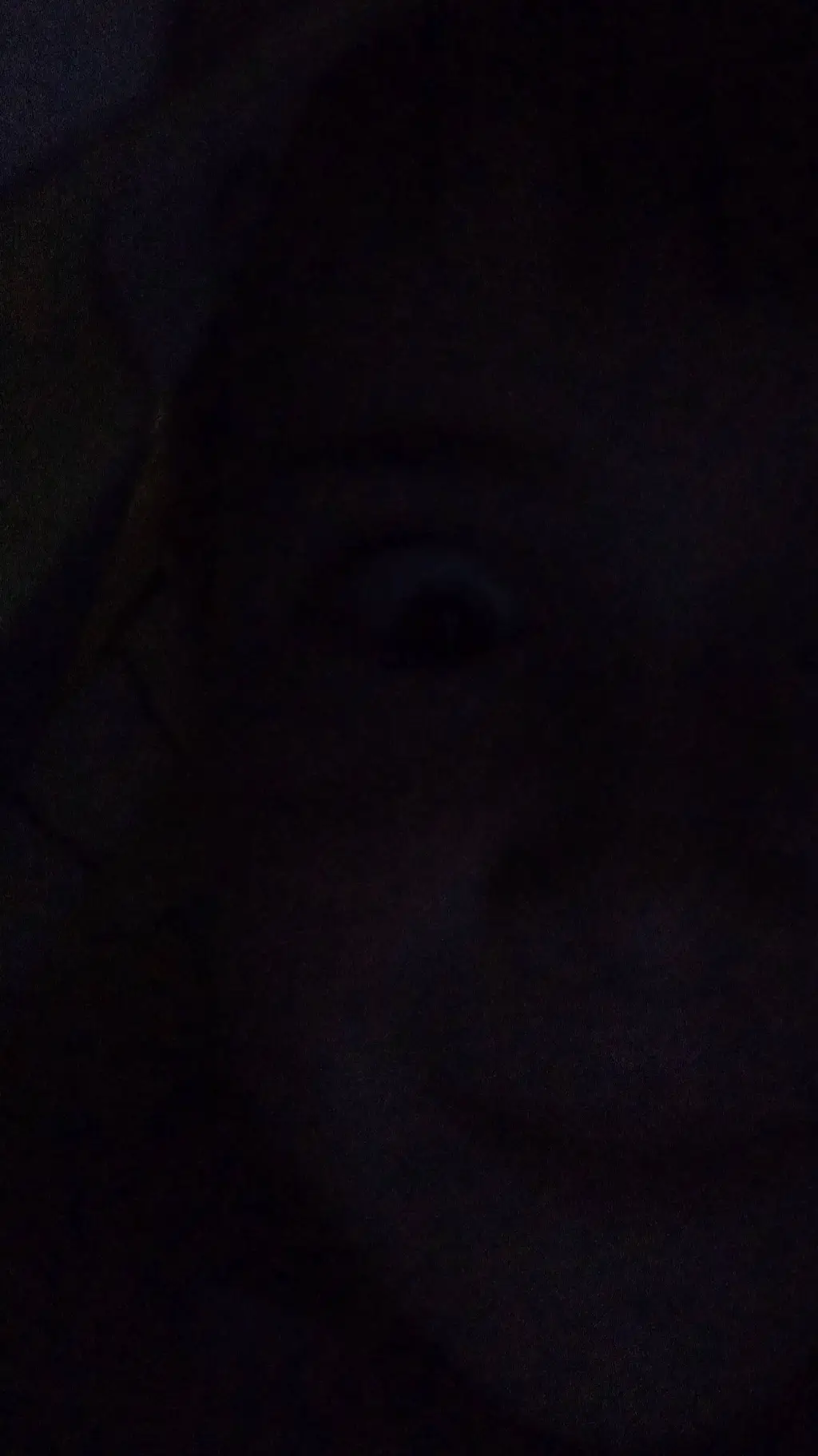 ai character: Sebastian background