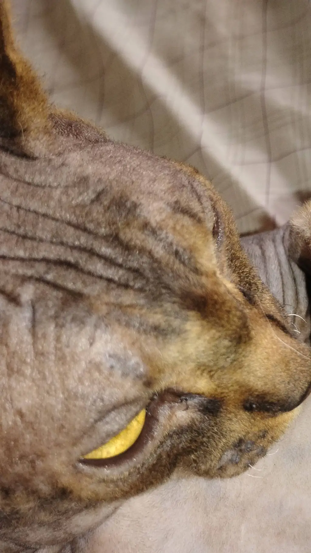 ai character: Mr wrinkles background