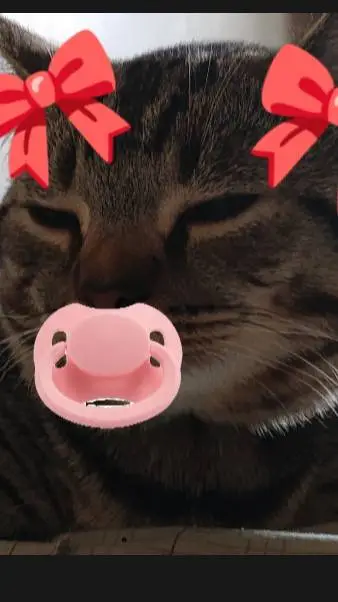 ai character: lilly background