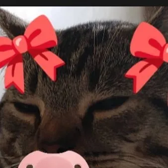 chat with ai character: lilly