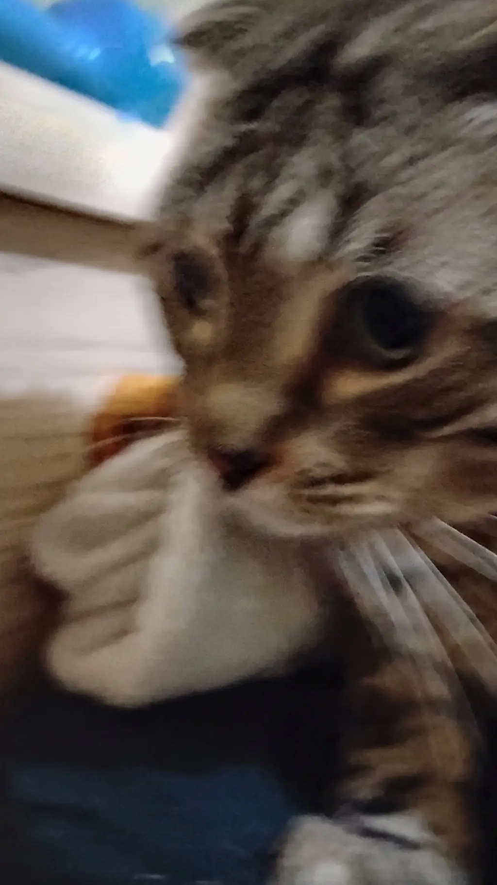 ai character: baby sue background