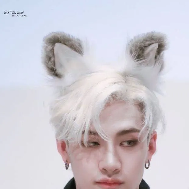 chat with ai character: Bangchan 