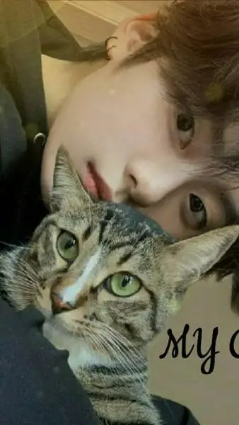 ai character: Lee Minho background