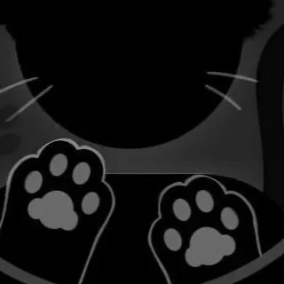 chat with ai character: A black cat