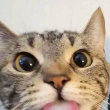 chat with ai character: MAH LUV