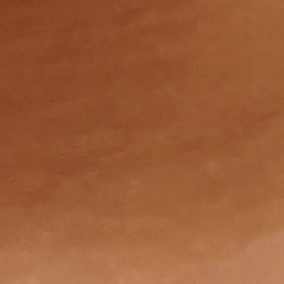 chat with ai character: Megumi x Sukuna 