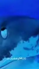 ai character: Warrior cats background