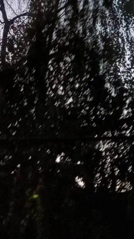 ai character: Zoey  background