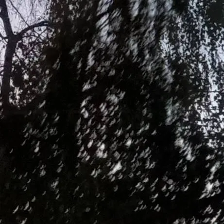 chat with ai character: Zoey 