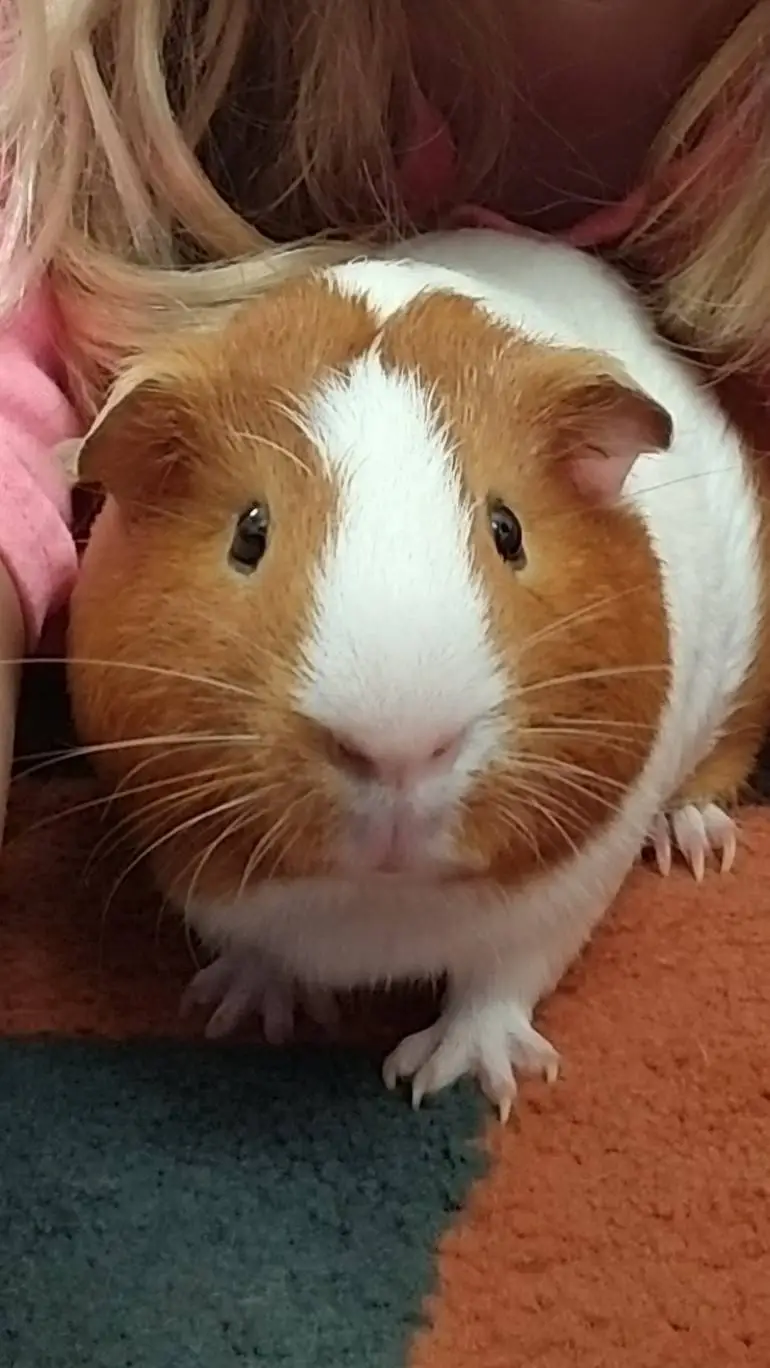 ai character: will background