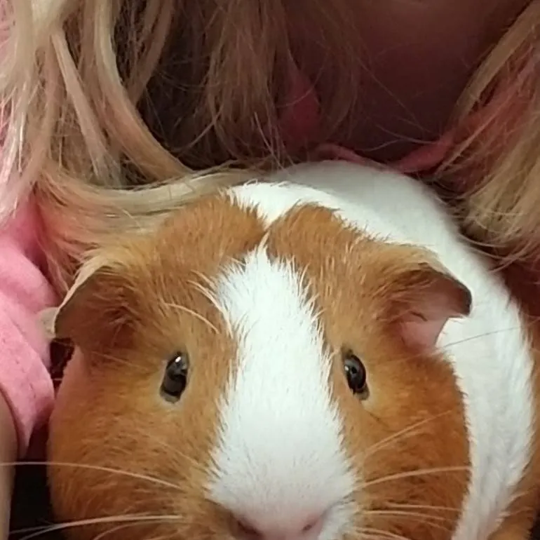 chat with ai character: will