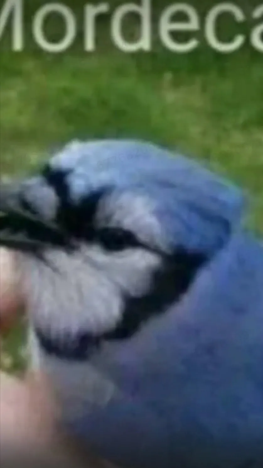 ai character: Mordecai xD background