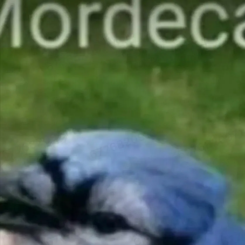 chat with ai character: Mordecai xD