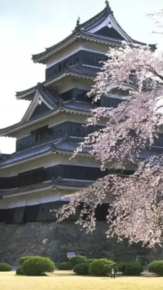 ai character: Sengoku period  background