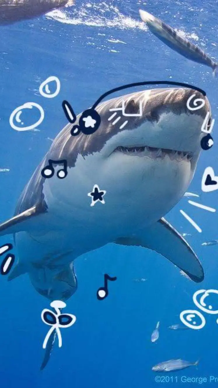 ai character: Luna💙🦈 background