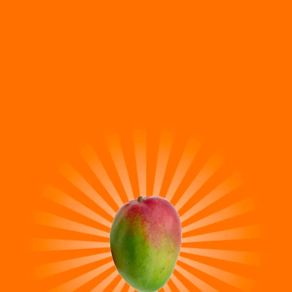 chat with ai character: mango