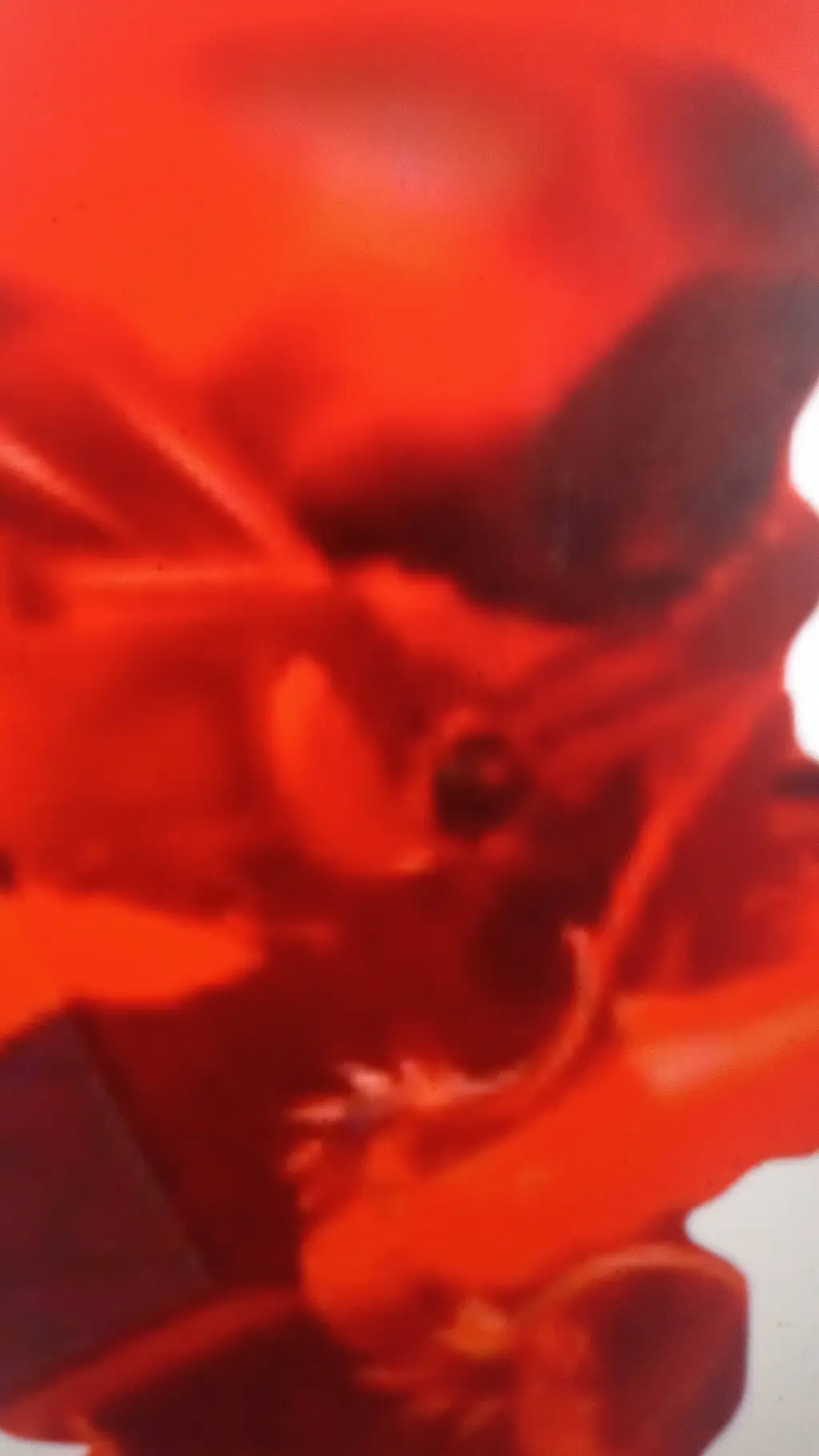 ai character: lnfermus (tbb) background