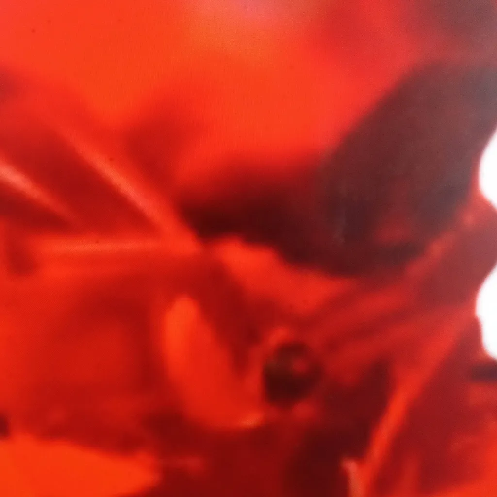 chat with ai character: lnfermus (tbb)