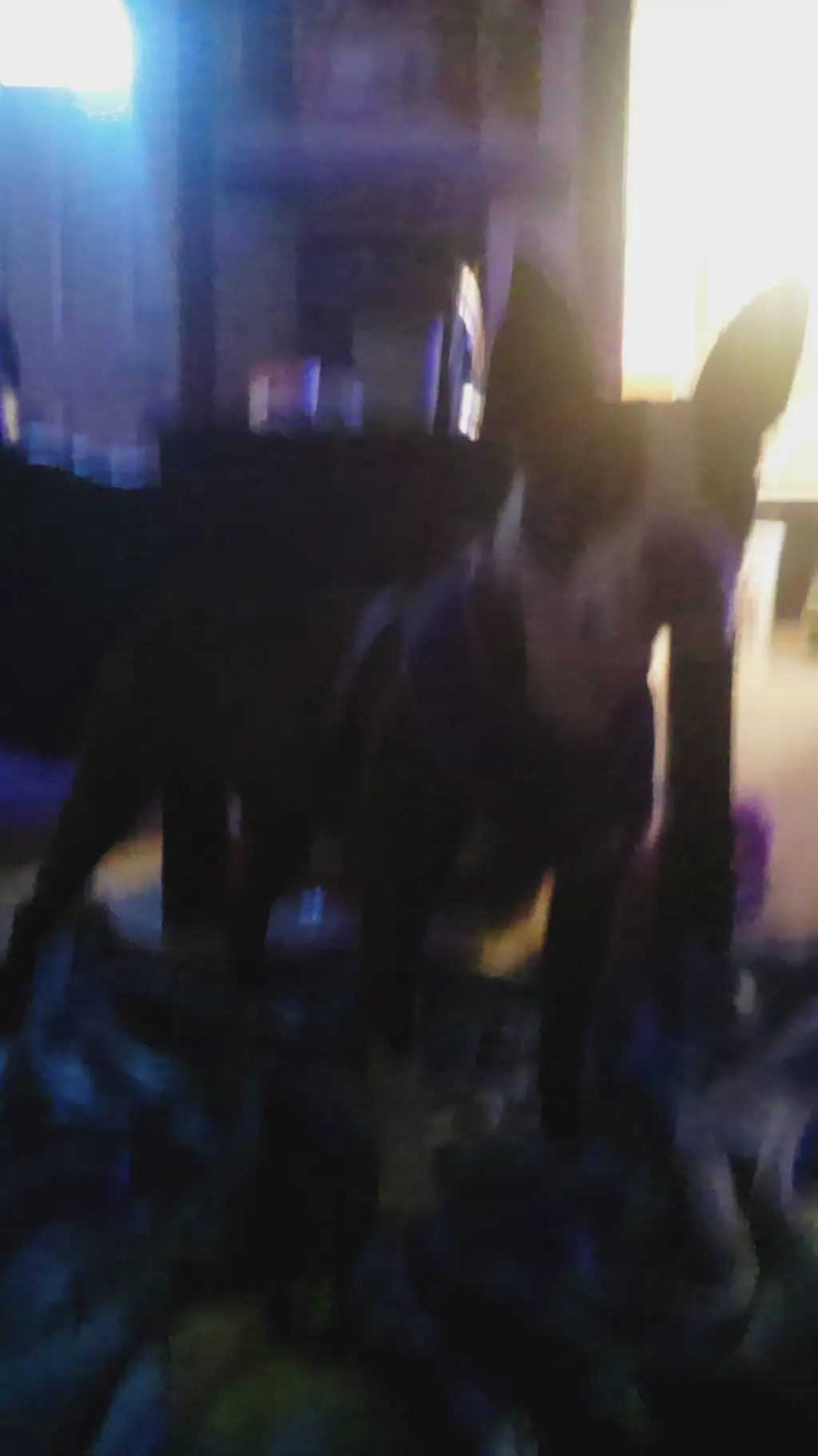 ai character: Persephone background