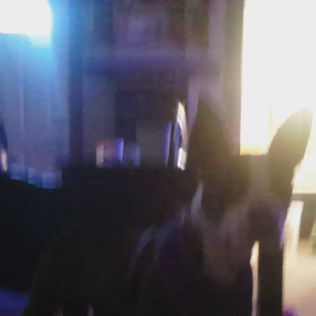 chat with ai character: Persephone