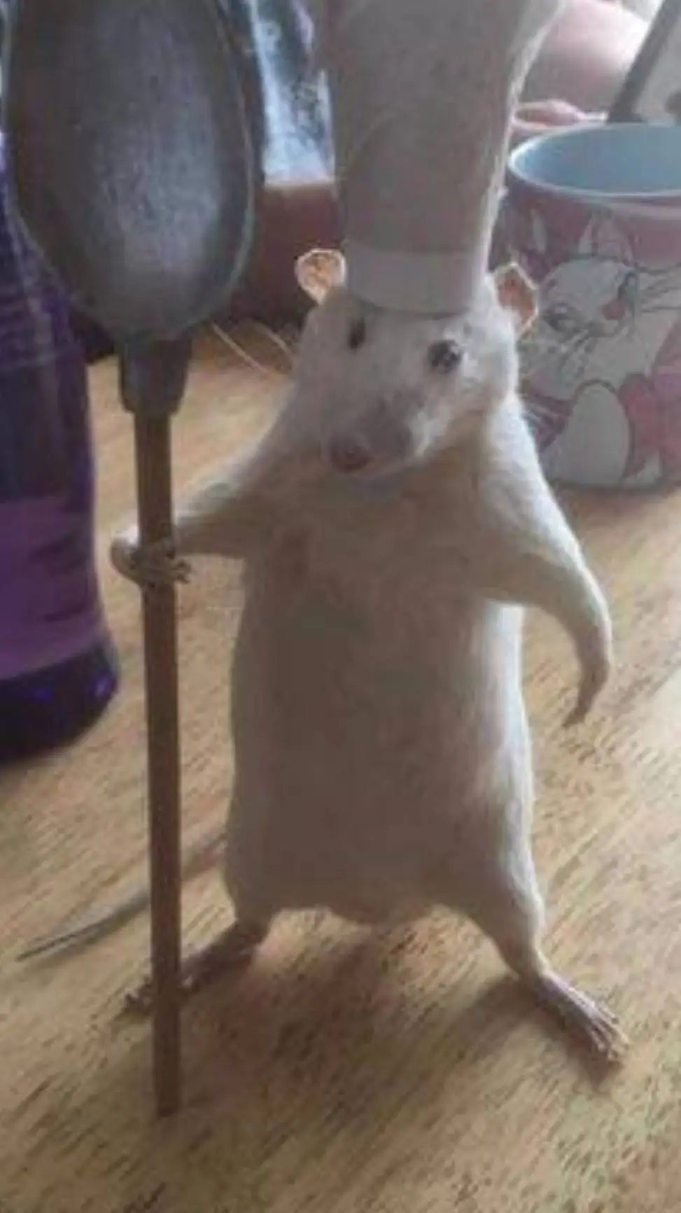 ai character: Ratatouille background