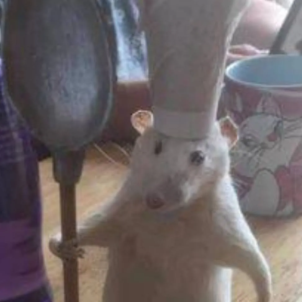 chat with ai character: Ratatouille