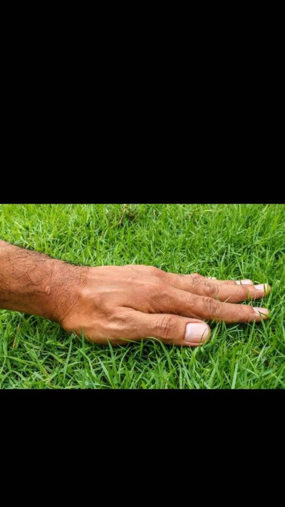 ai character: grass background