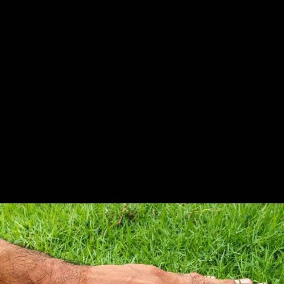 chat with ai character: grass