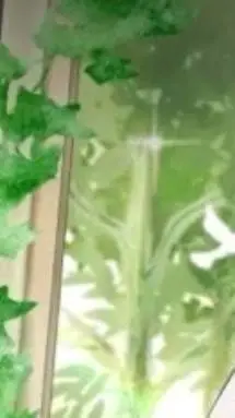 ai character: FernGully background