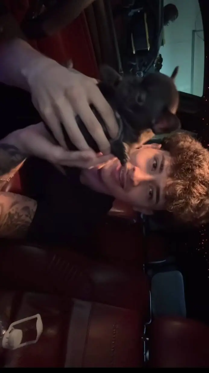 ai character: alex chino background